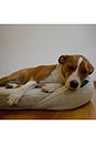 view 8 of 11 Infrared PEMF Small Pet Bed in 