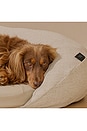 view 8 of 11 Infrared PEMF Large Pet Bed in 