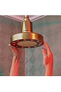 view 4 of 10 Red Light Shower Filter in Polished Brass