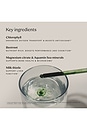 view 7 of 12 Detox Drops in 