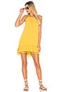 view 1 of 3 Hannah Dress in Daisy