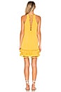 view 4 of 3 Hannah Dress in Daisy