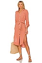 view 1 of 4 Isadora Dress in Clay