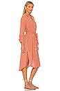 view 2 of 4 Isadora Dress in Clay