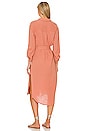 view 3 of 4 Isadora Dress in Clay
