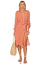 view 4 of 4 Isadora Dress in Clay