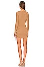 view 3 of 3 Veronica Mini Dress in Camel