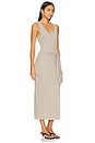 view 3 of 4 Kimora Dress in Stone