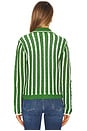 view 3 of 4 Corrie Cardi in Grass