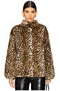 view 2 of 5 Shireen Coat in Leopard