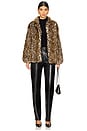 view 5 of 5 Shireen Coat in Leopard