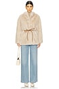 view 5 of 5 Evaline Coat in Ecru