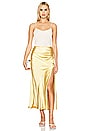 view 4 of 4 Shayne Skirt in Golden
