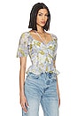 view 2 of 4 Sully Top in Spring
