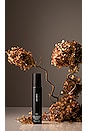view 2 of 2 NEROLI LEAF ROOM DEODORANT ルームディオドラント in 