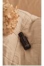 view 7 of 7 X Revolve Cece Laundry Fragrance Oil in 