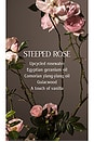 view 3 of 7 X Revolve Steeped Rose Laundry Fragrance Oil in 