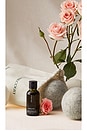 view 4 of 7 X Revolve Steeped Rose Laundry Fragrance Oil in 
