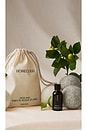 view 4 of 7 X Revolve Neroli Leaf Laundry Fragrance Oil in 