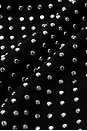 view 6 of 6 Gradient Studded Mini Dress in Black
