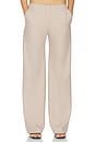 view 2 of 9 PANTALÓN HALO CARABINER TROUSER in Cobblestone