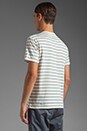 view 3 of 4 Pocket Tee in Blue Stripe