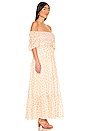 view 2 of 3 ROBE MAXI GABRIELLA in Daisy Fields