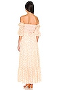view 3 of 3 ROBE MAXI GABRIELLA in Daisy Fields
