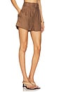 view 2 of 6 Zinna Short in Chocolate