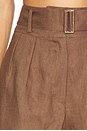 view 6 of 6 Zinna Short in Chocolate