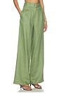 view 2 of 6 Alina Pant in Sage Green