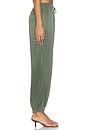 view 4 of 6 Halina Pants in Climbing Ivy