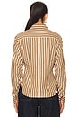 view 3 of 4 Drexel Shirt in Copper Stripe
