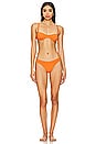 view 4 of 4 BAS DE MAILLOT DE BAIN BASIC in Apricot