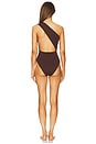 view 4 of 4 Luisa One Piece in Cohiba Brown