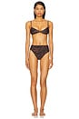 view 4 of 4 Classic Hotpants in Tiger