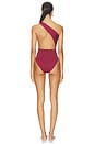 view 4 of 4 Lycra Luisa One Piece in Marsala