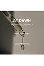 view 4 of 9 At Dawn Rejuvenating Daytime Oil in 