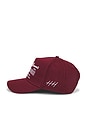 view 3 of 3 Moments Hat in Maroon