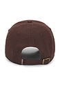 view 2 of 3 Icon Classic Dad Hat in Ground Coffee
