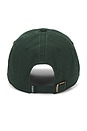 view 2 of 3 Icon Classic Dad Hat in Evergreen