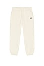 view 5 of 6 Icon Sweatpants in Bone