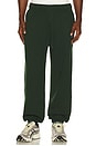 view 1 of 6 Icon Sweatpants in Evergreen