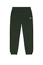 view 5 of 6 Icon Sweatpants in Evergreen