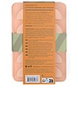 view 5 of 5 The Dotty Citrus Wedge Ice Tray in Orange & Blush