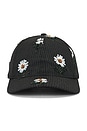 view 1 of 6 Flowers Beaded 6 Panel Cap in Black
