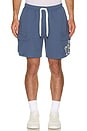 view 4 of 4 Cargo Short in Blue