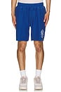 view 4 of 5 Race Short in Blue