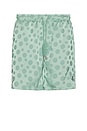 view 1 of 6 Polka Dot Shorts in Green