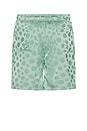 view 2 of 6 Polka Dot Shorts in Green